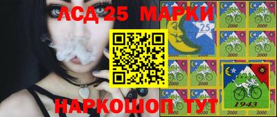 дмт Моздок