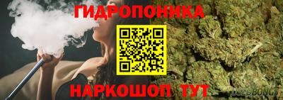дмт Моздок