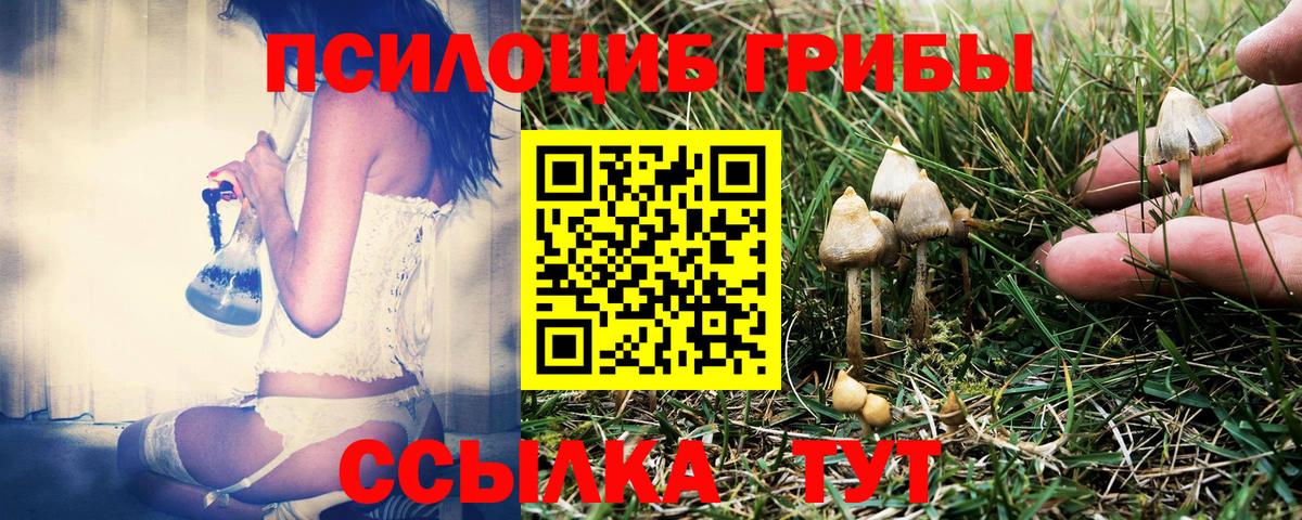 Псилоцибиновые грибы GOLDEN TEACHER Туапсе