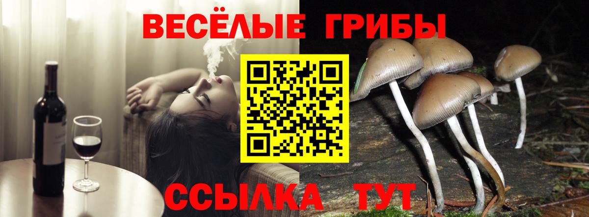 Псилоцибиновые грибы GOLDEN TEACHER  Галлюциногенные грибы ЛСД  Туапсе  Вход с VPN 